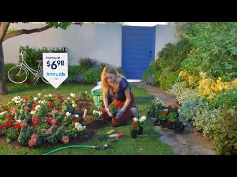 Lowe’s [Original Music]